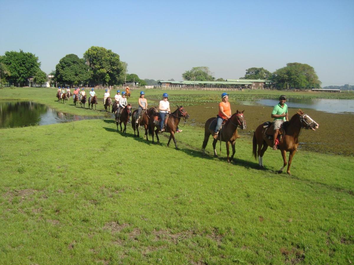 Pantanal Jungle Lodge Passo do Lontra Buitenkant foto