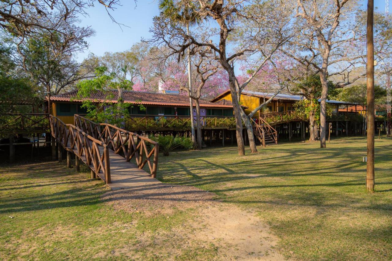 Pantanal Jungle Lodge Passo do Lontra Buitenkant foto