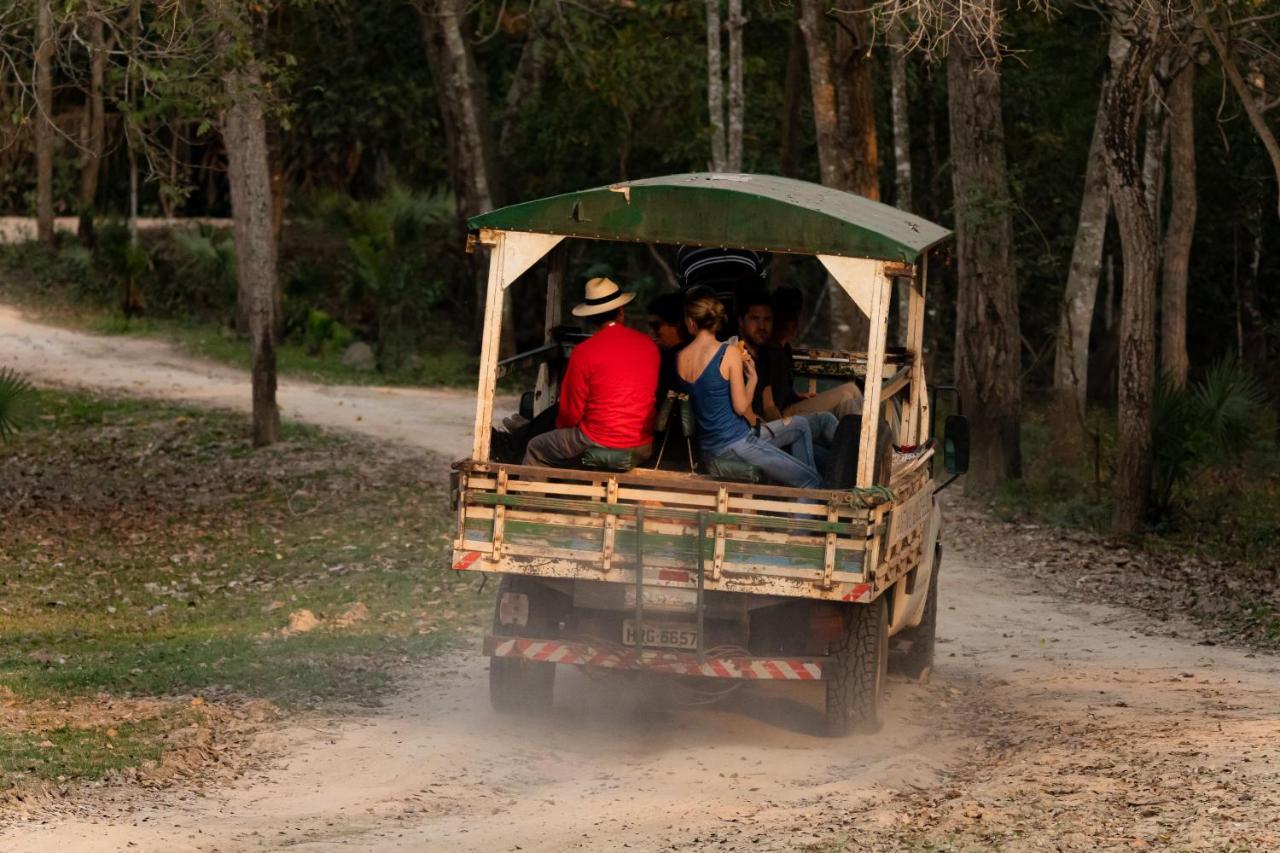 Pantanal Jungle Lodge Passo do Lontra Buitenkant foto